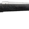 Winchester Model 70 Extreme Weather SS