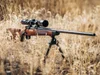 Winchester Model 70 Super Grade Winchester Model 70 Super Grade